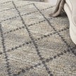 Nourison Oslo Shag OSL01 Shag Indoor Rug