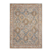 Nourison Sahar SHR01 Vintage Indoor Rug