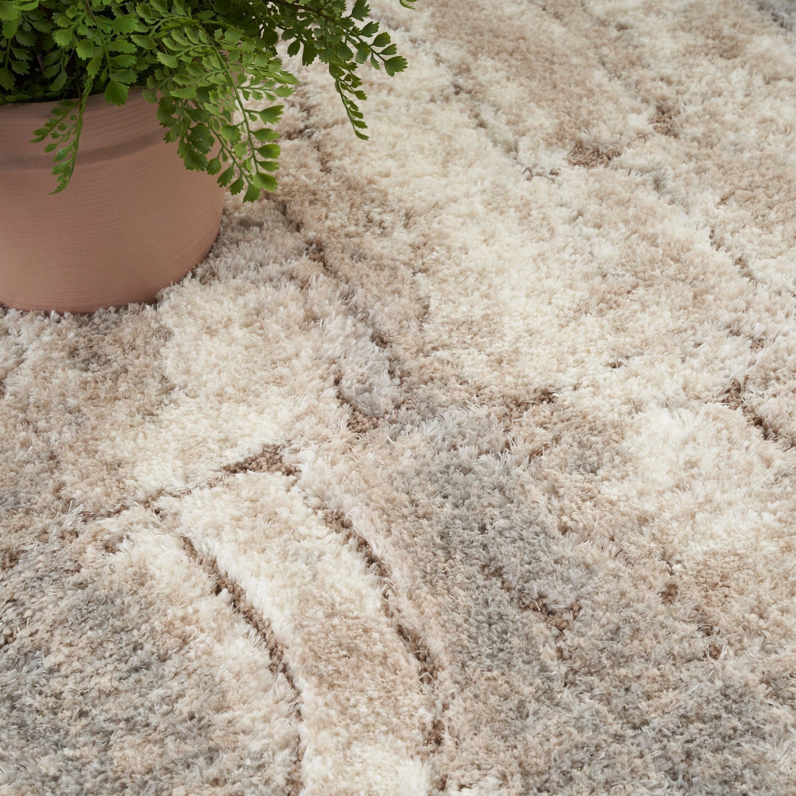 Nourison Dreamy Shag DRS09 Shag Indoor Rug