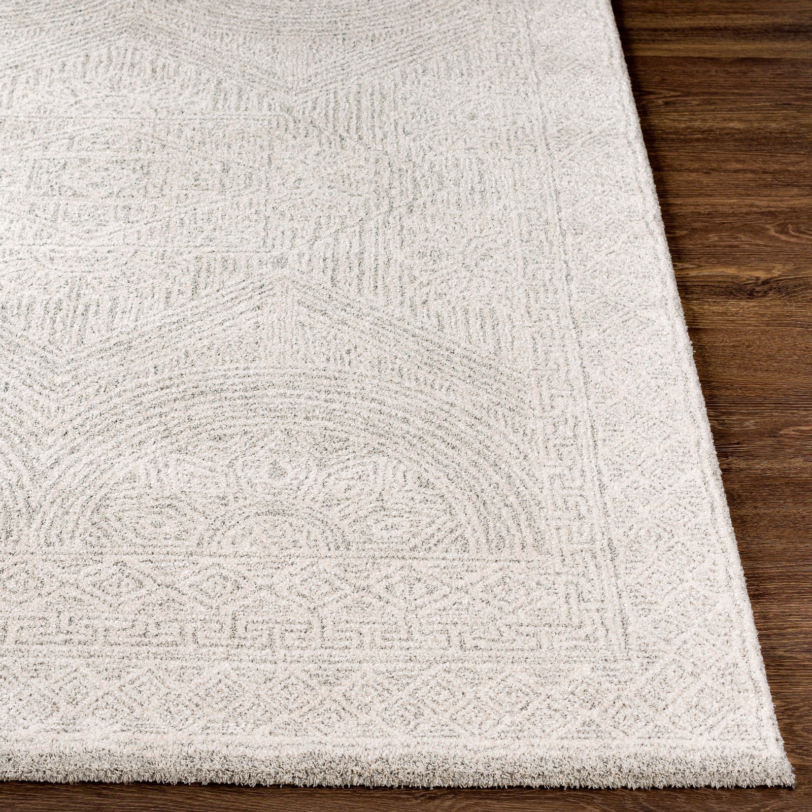 Livabliss by Surya Gavic GVC-2301 Rug