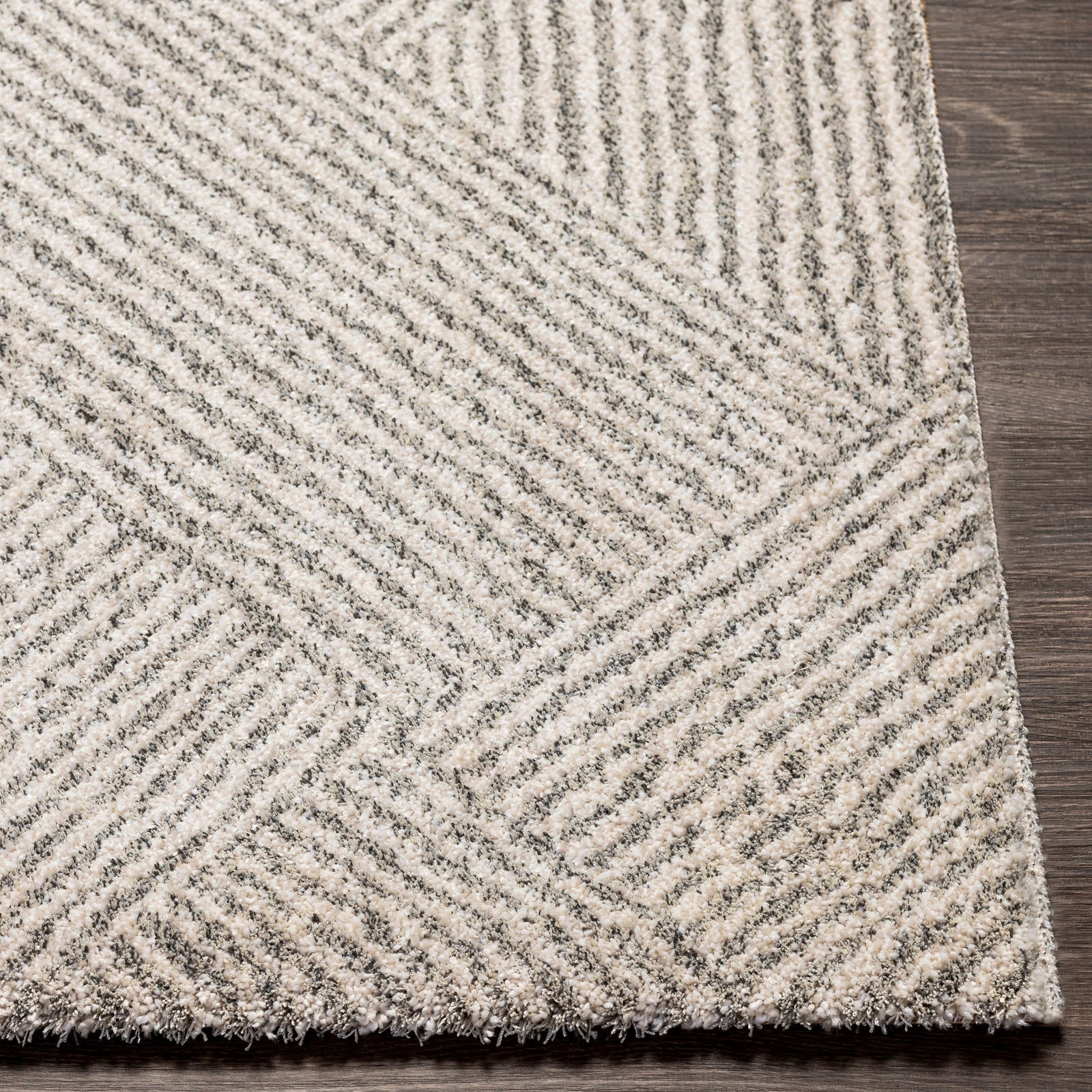Livabliss by Surya Gavic GVC-2304 Rug