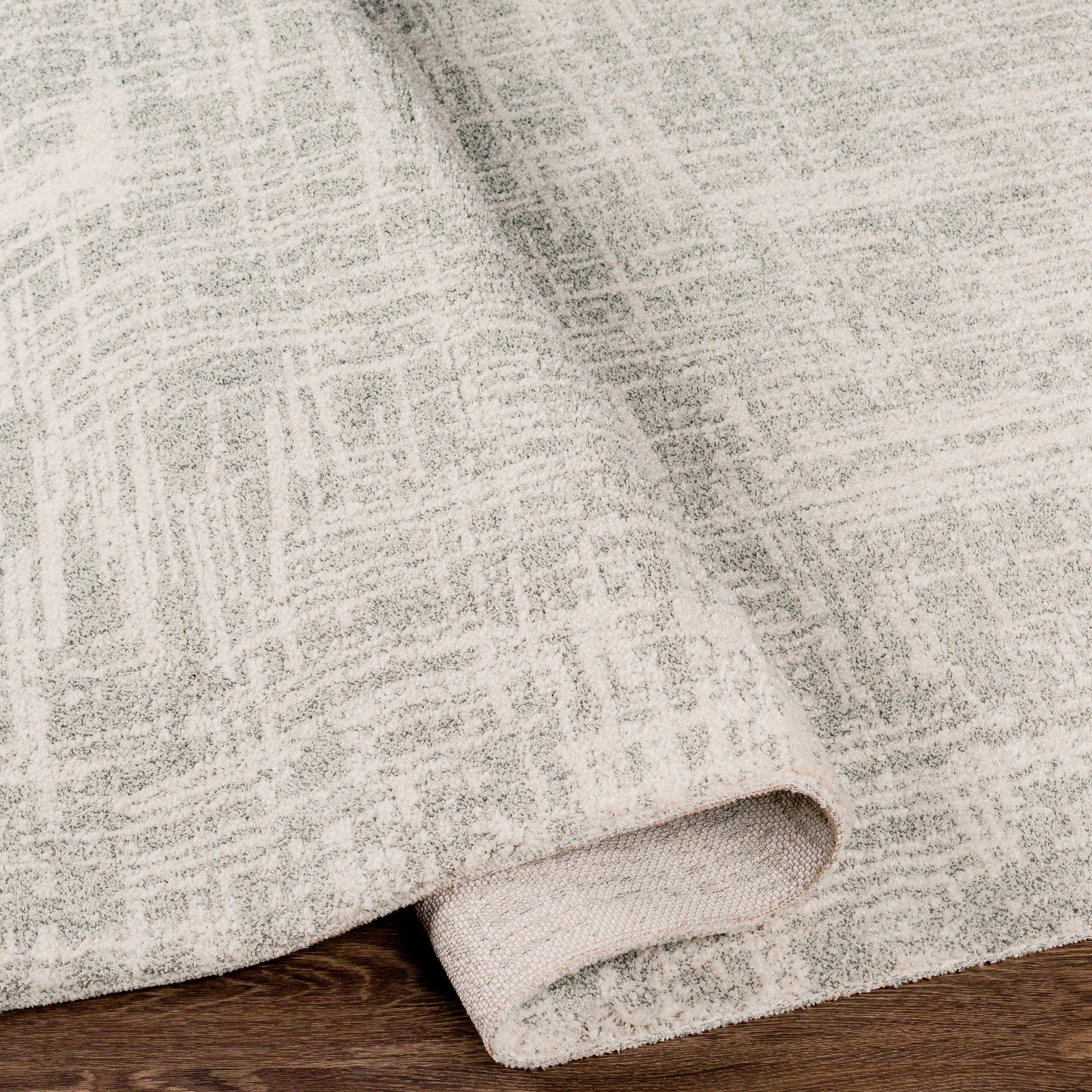 Livabliss by Surya Gavic GVC-2308 Rug