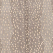 Surya Gazelle GZL-2301 Rug