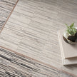 Nourison Desire DSR02 Modern Indoor Rug