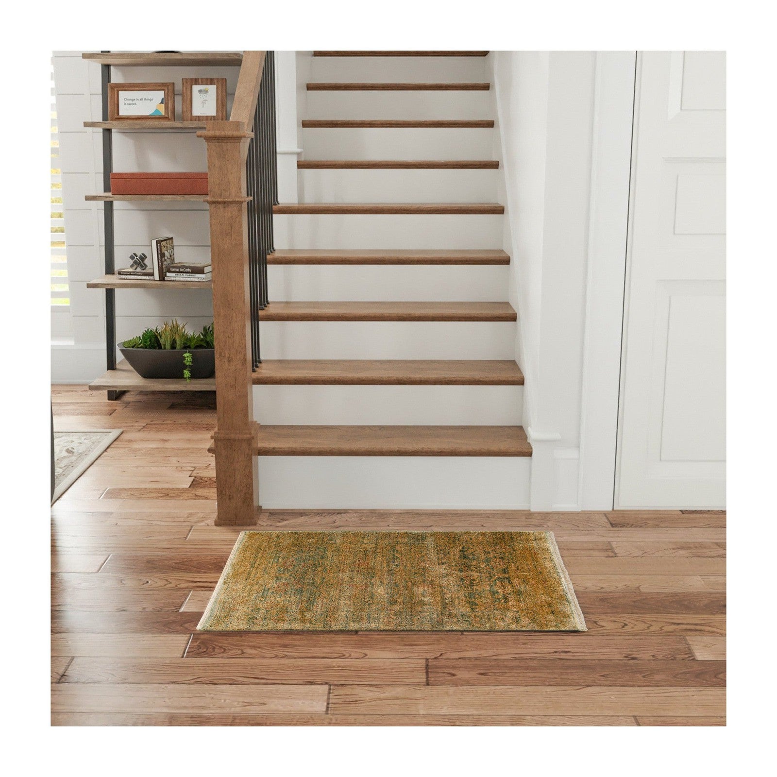 Nourison Luxurious LRS01 Vintage Indoor Rug