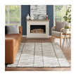 Nourison Colorado CLR01 Modern Indoor Rug