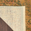 Nourison Luxurious LRS01 Vintage Indoor Rug