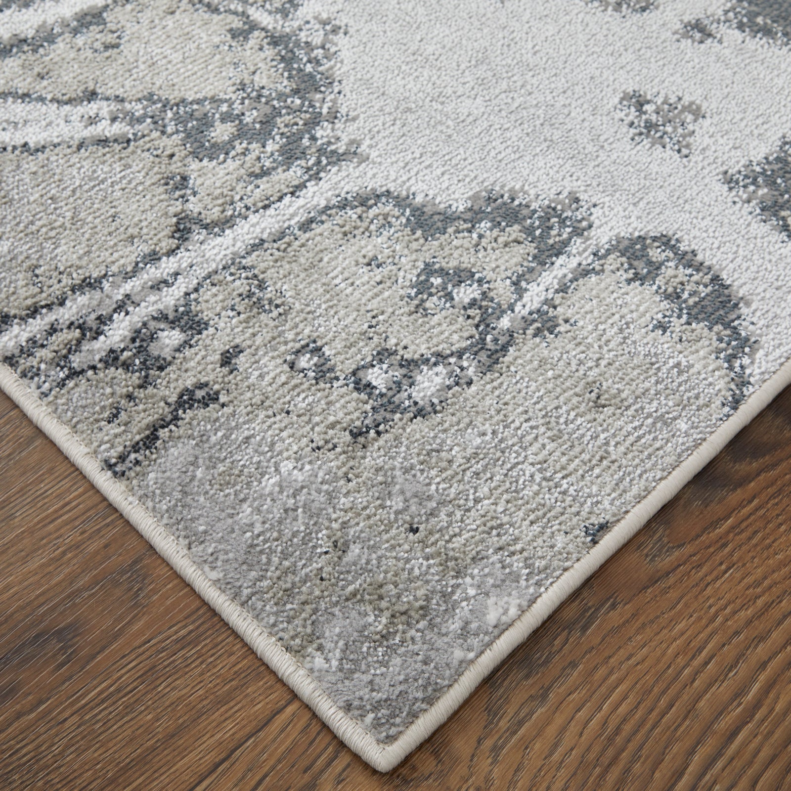 Feizy Astra 39L5F Rug