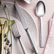 Christofle Hudson Stainless Steel Cutlery