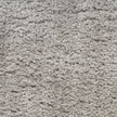 Nourison Dreamy Shag DRS05 Shag Indoor Rug