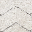 Nourison Dreamy Shag DRS03 Shag Indoor Rug