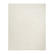 Nourison Avra AVR01 Modern Indoor Rug