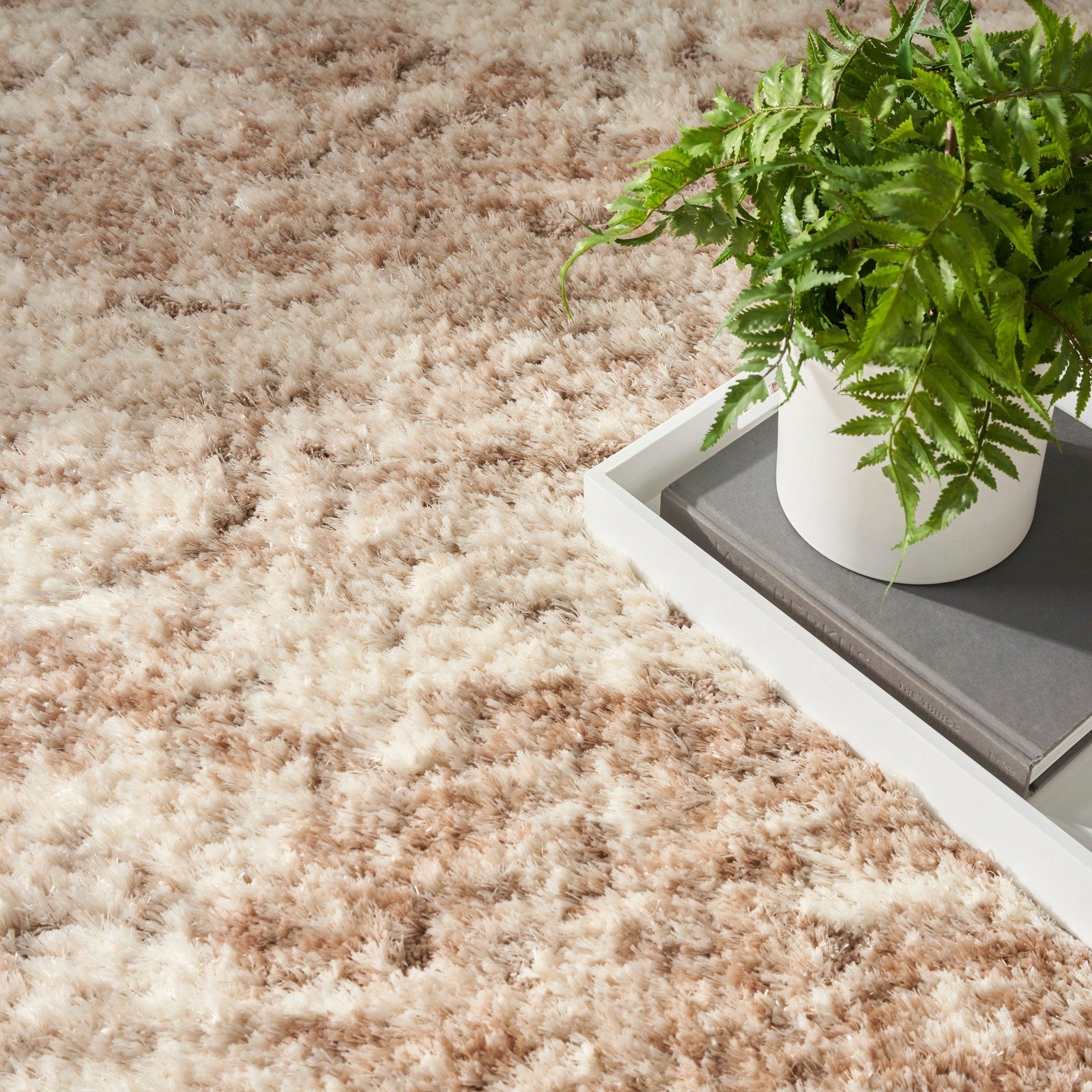 Nourison Dreamy Shag DRS10 Modern Indoor Rug