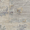 Nourison Infinite IFT02 Vintage Indoor Rug