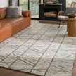 Nourison Colorado CLR01 Modern Indoor Rug