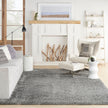 Nourison Dreamy Shag DRS03 Shag Indoor Rug