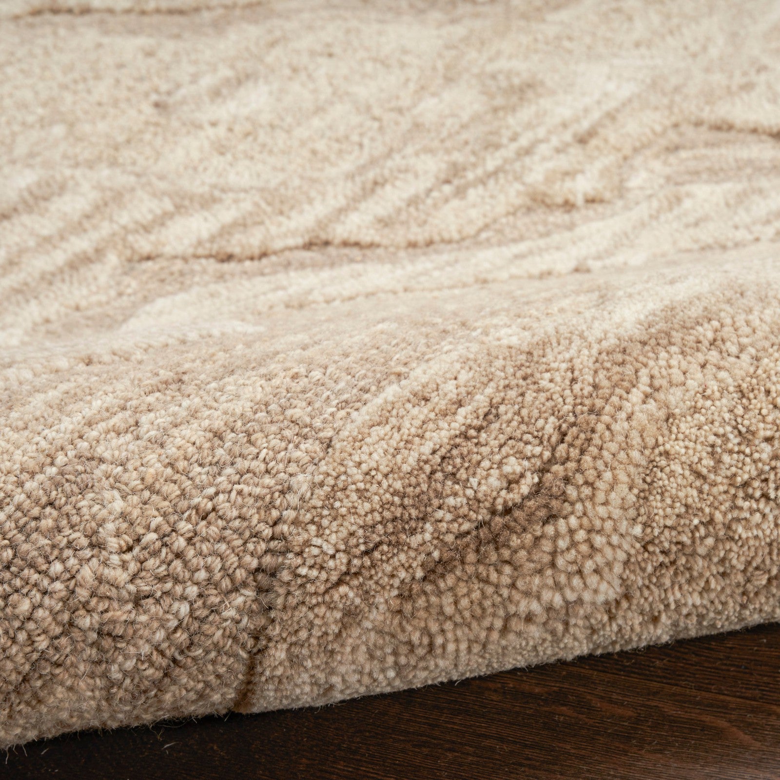 Nourison Graceful GRU01 Modern Indoor Rug