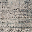 Nourison Lynx LNX06 Vintage Indoor Rug