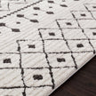 Livabliss by Surya Moroccan Shag MCS-2309 Rug Clearance