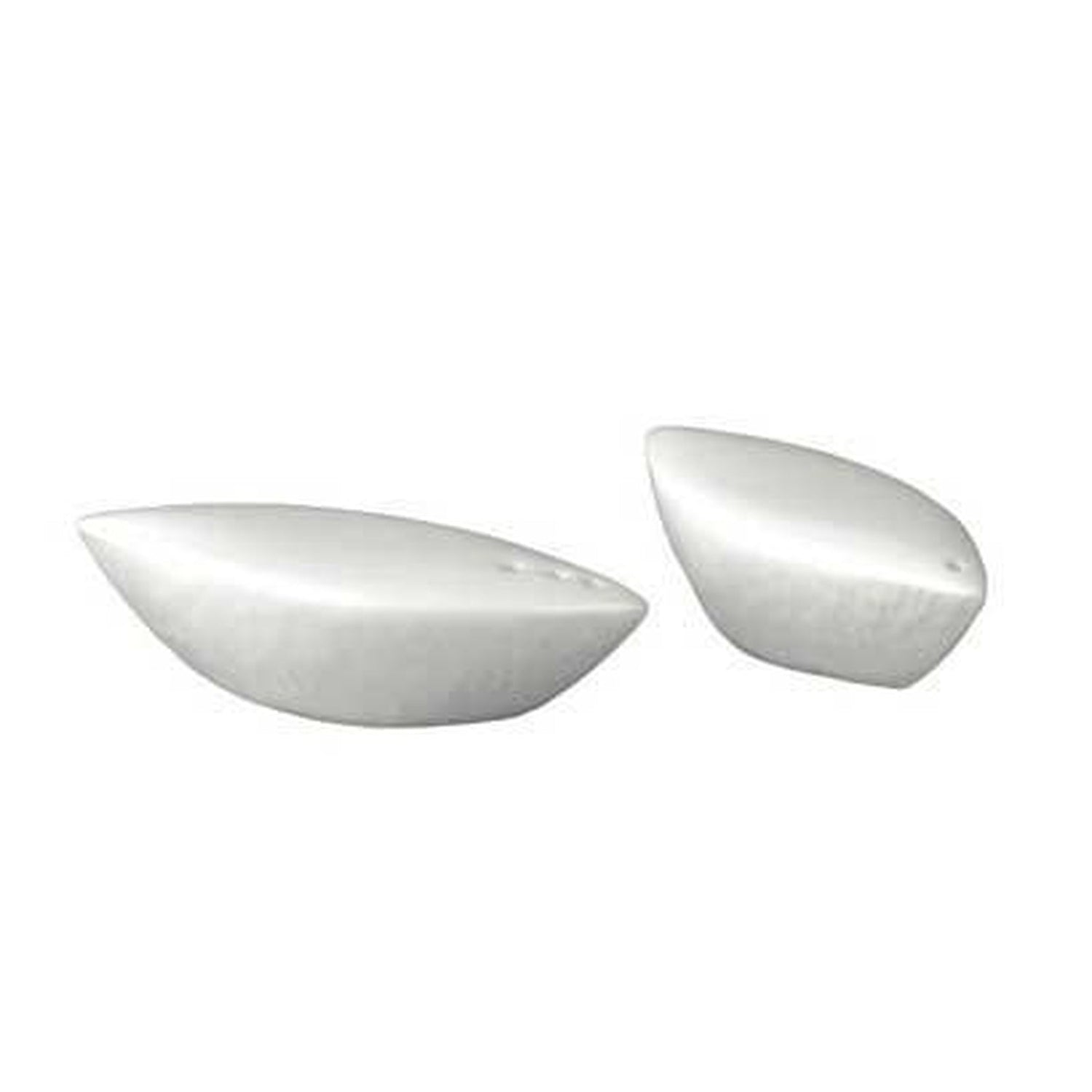 Raynaud Mineral Salt Shaker