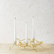 Michael Aram Butterfly Ginkgo Gold Low Candleholders