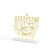 Michael Aram Wildflowers Menorah