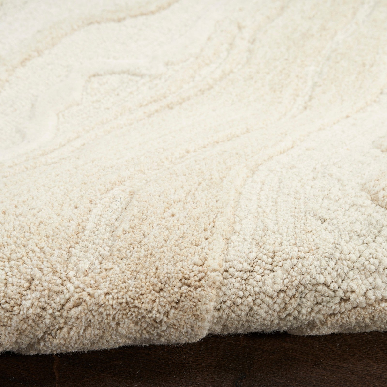 Nourison Graceful GRU01 Modern Indoor Rug