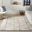 Nourison Colorado CLR01 Modern Indoor Rug