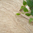 Nourison Graceful GRU01 Modern Indoor Rug