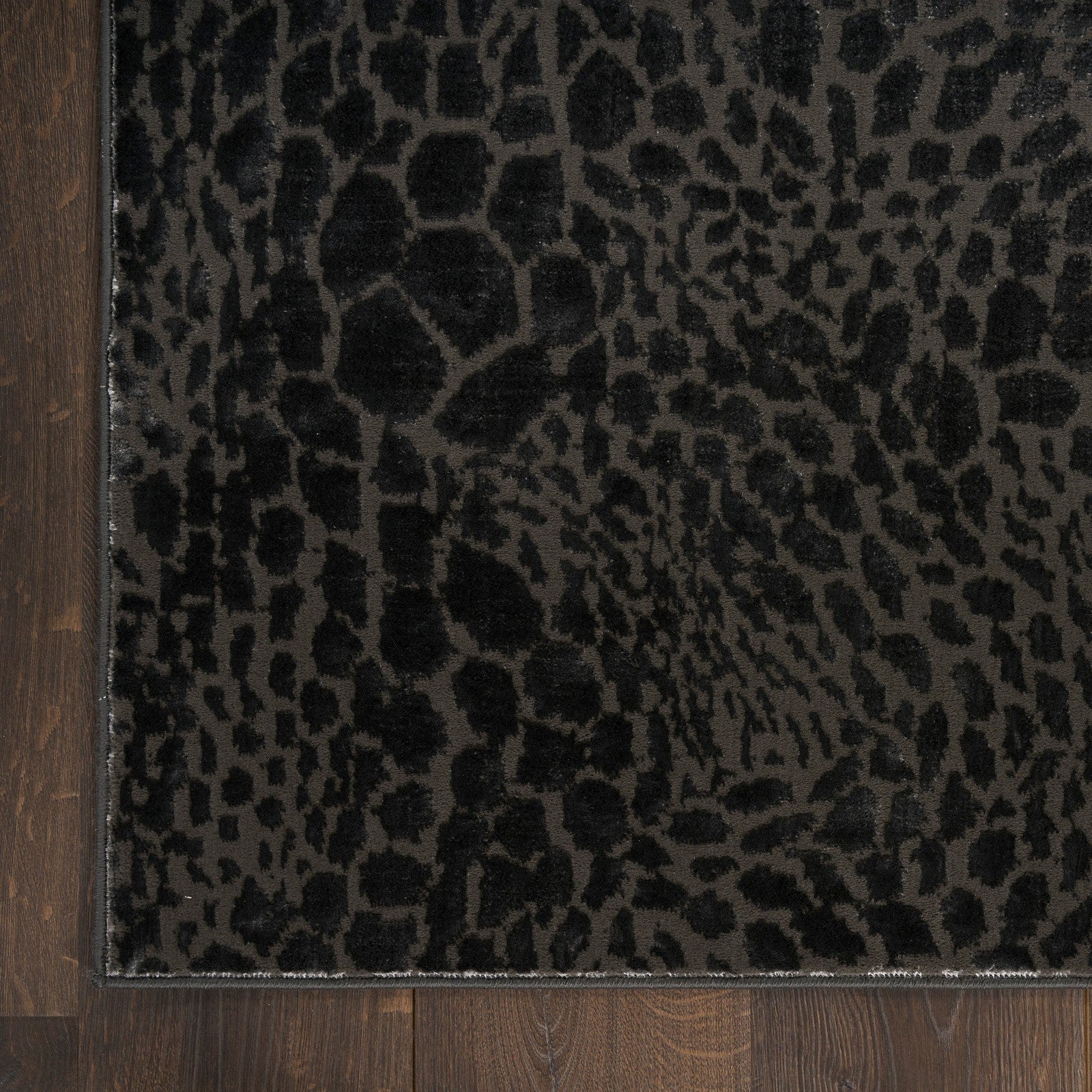Nourison Desire DSR08 Modern Indoor Rug