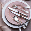 Christofle Perles Silver Plated Cheese Knife