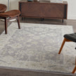 Nourison Infinite IFT03 Vintage Indoor Rug