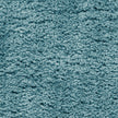 Nourison Dreamy Shag DRS05 Shag Indoor Rug