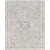 Surya Palazzo PZL-2300 Machine Woven Rug Clearance