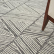 Nourison Colorado CLR01 Modern Indoor Rug