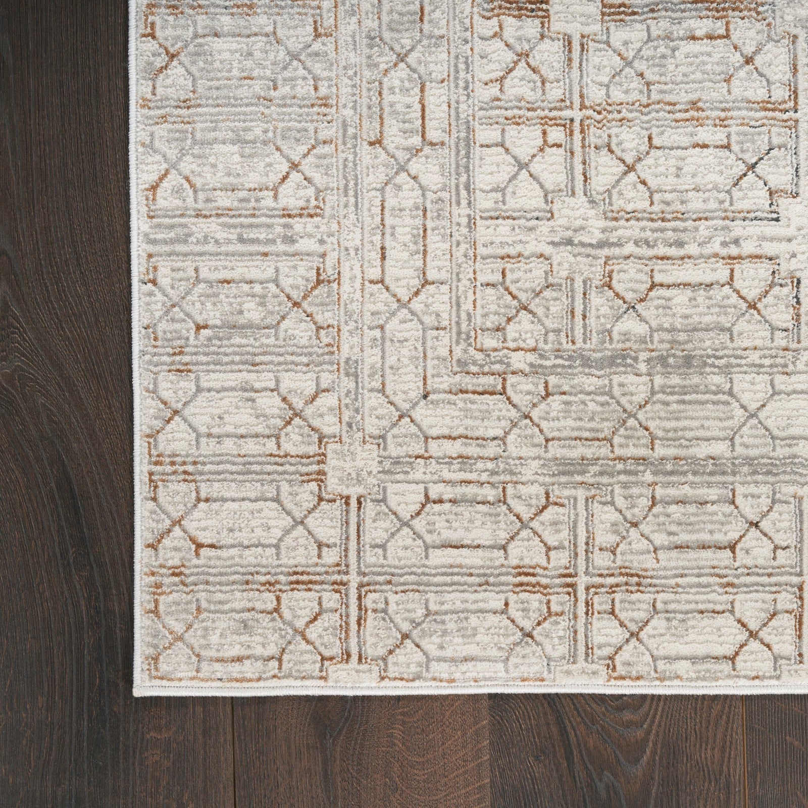 Nourison Desire DSR07 Modern Indoor Rug