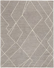 Feizy Euclid T8004 Rug in Gray/Ivory