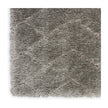 Nourison Dreamy Shag DRS03 Shag Indoor Rug