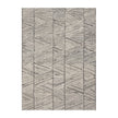 Nourison Colorado CLR01 Modern Indoor Rug