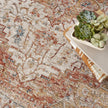 Nourison Sahar SHR06 Vintage Indoor Rug