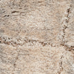 Nourison Dreamy Shag DRS09 Shag Indoor Rug