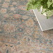 Nourison Luxurious LRS03 Vintage Indoor Rug