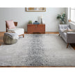Feizy Astra 39L2F Rug