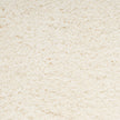 Nourison Dreamy Shag DRS05 Shag Indoor Rug
