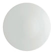 Raynaud Uni Buffet Plate