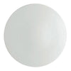 Raynaud Uni Buffet Plate