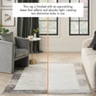 Nourison Desire DSR02 Modern Indoor Rug