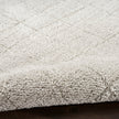 Nourison Andes AND04 Scandinavian Indoor Rug