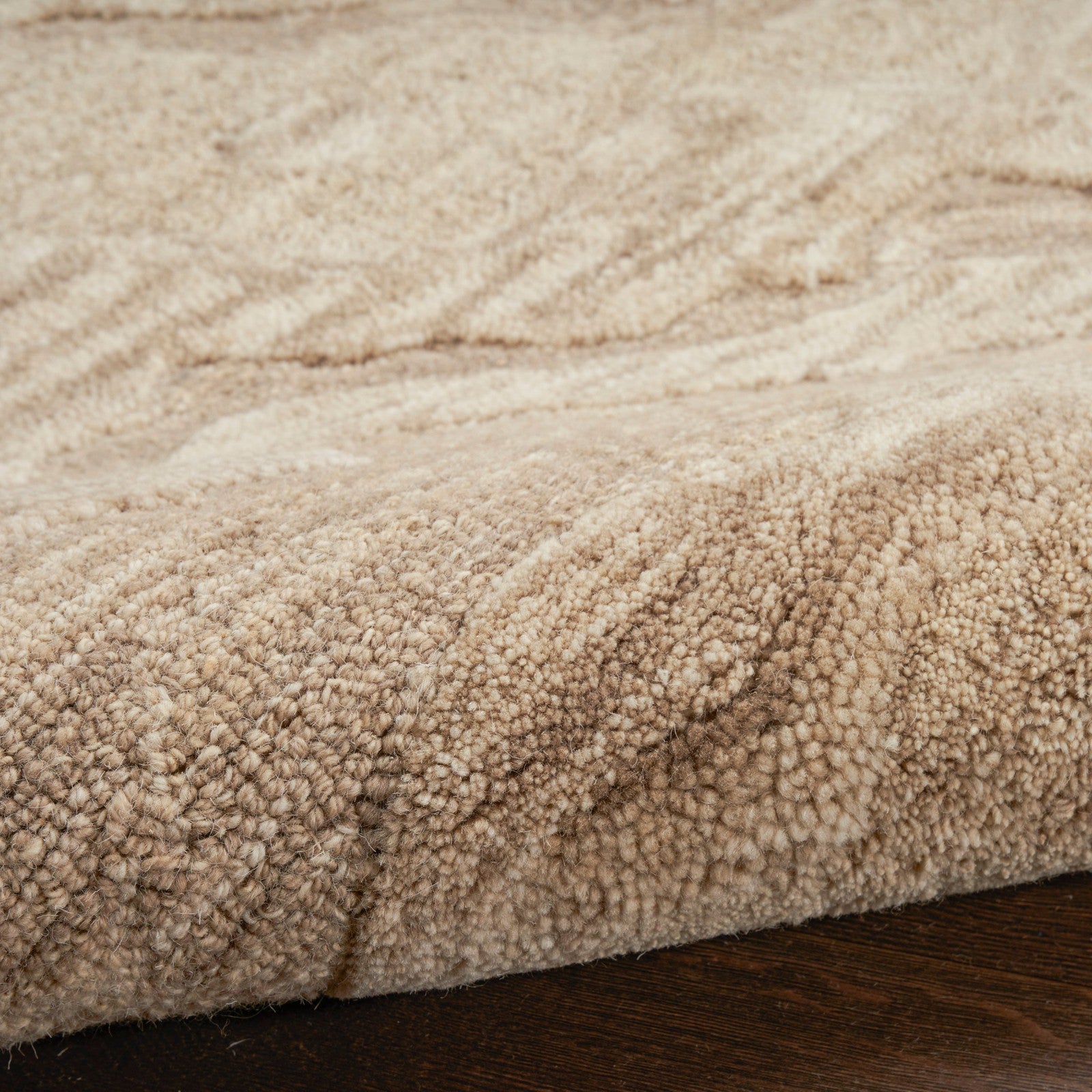 Nourison Graceful GRU01 Modern Indoor Rug