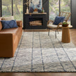 Nourison Colorado CLR01 Modern Indoor Rug